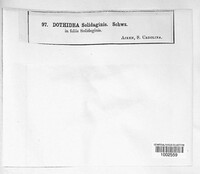 Image Associated With the Occurence
